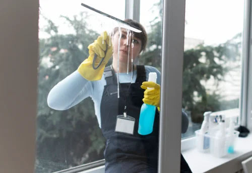 Nettoyage de vitres intérieures et extérieures à Tréon